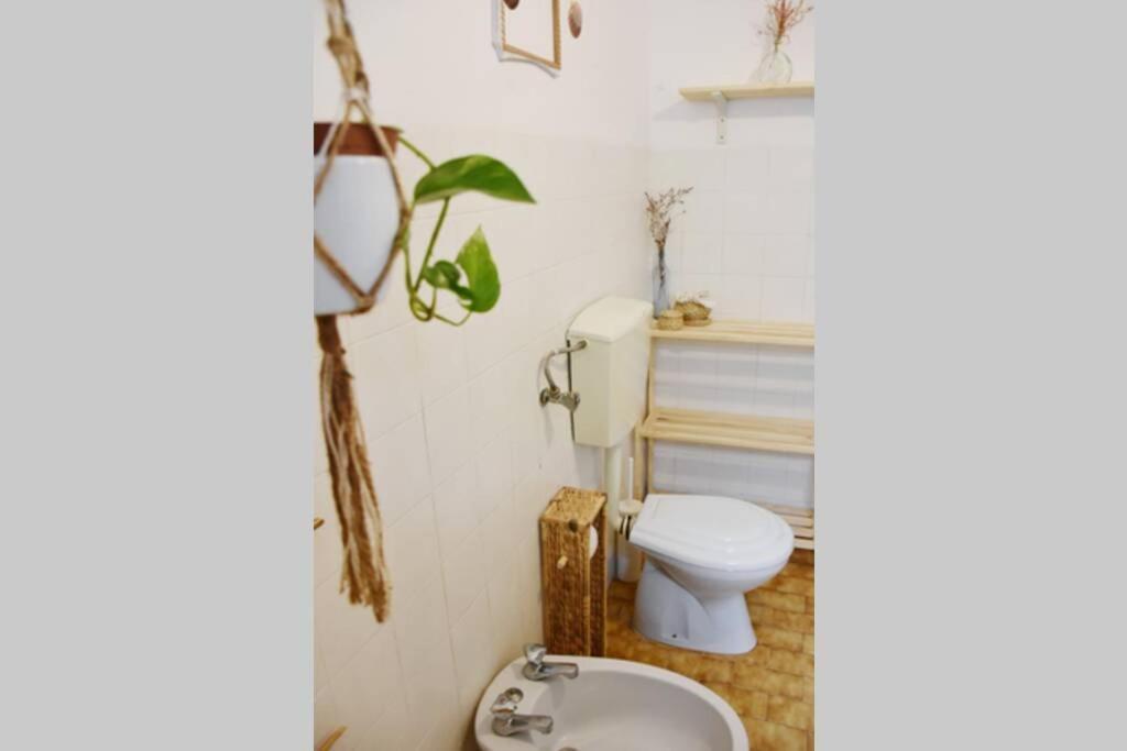 Bamboo House Aljezur Exterior photo